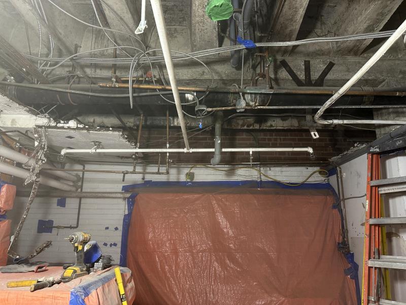 Décontamination Montréal