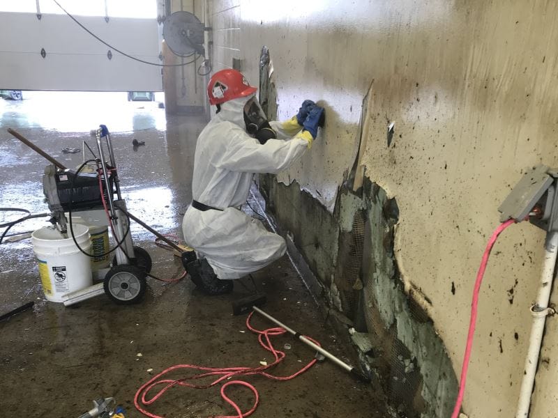 Décontamination